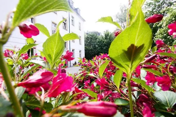 Altstadtperle & Drezno