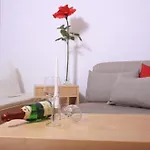 Appartement Altstadtperle & Dresden